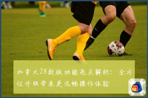 加拿大28新版功能亮点解析：全方位升级带来更流畅操作体验