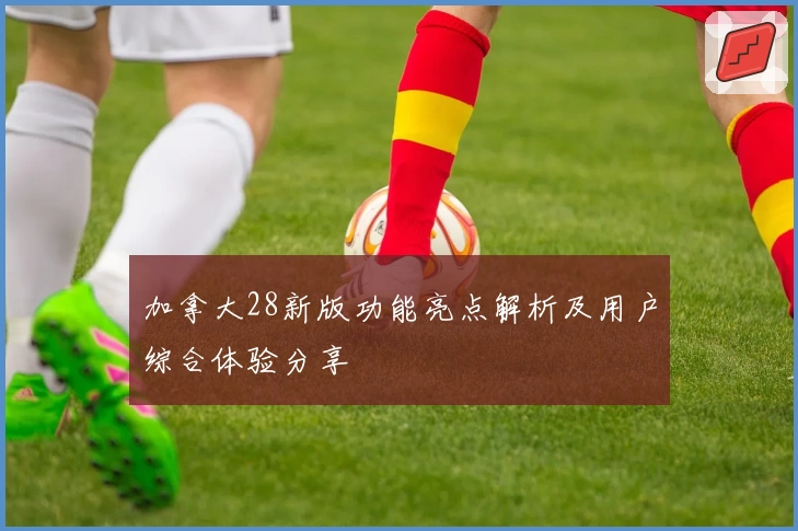 加拿大28新版功能亮点解析及用户综合体验分享