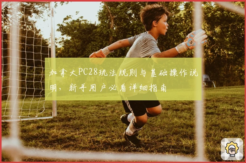 加拿大PC28玩法规则与基础操作说明,新手用户必看详细指南