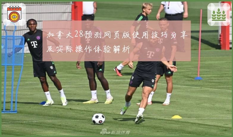 加拿大28预测网页版使用技巧分享及实际操作体验解析