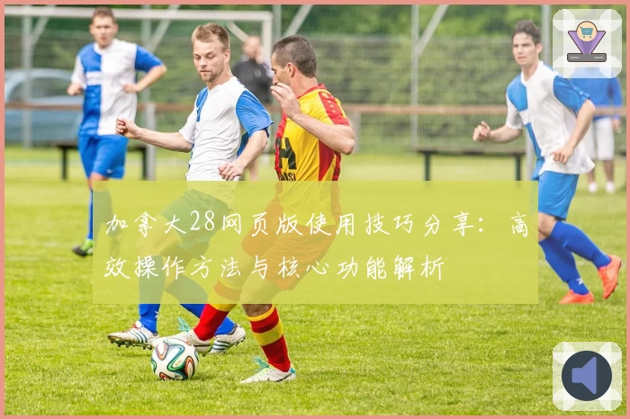 加拿大28网页版使用技巧分享：高效操作方法与核心功能解析