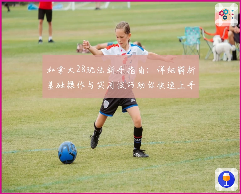 加拿大28玩法新手指南：详细解析基础操作与实用技巧助你快速上手