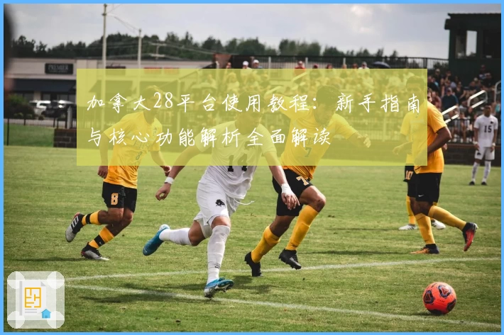 加拿大28平台使用教程：新手指南与核心功能解析全面解读