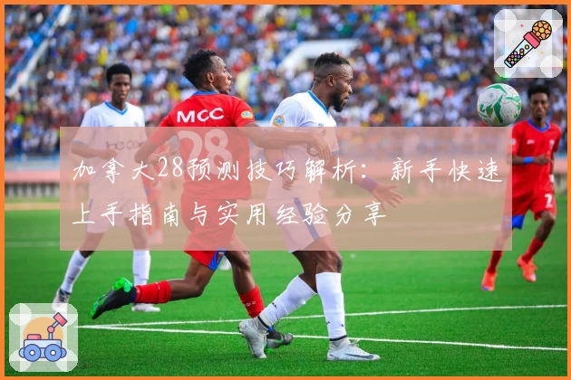 加拿大28预测技巧解析：新手快速上手指南与实用经验分享