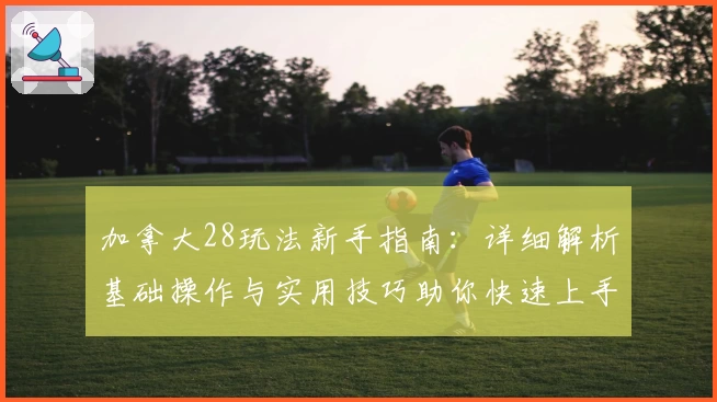 加拿大28玩法新手指南：详细解析基础操作与实用技巧助你快速上手