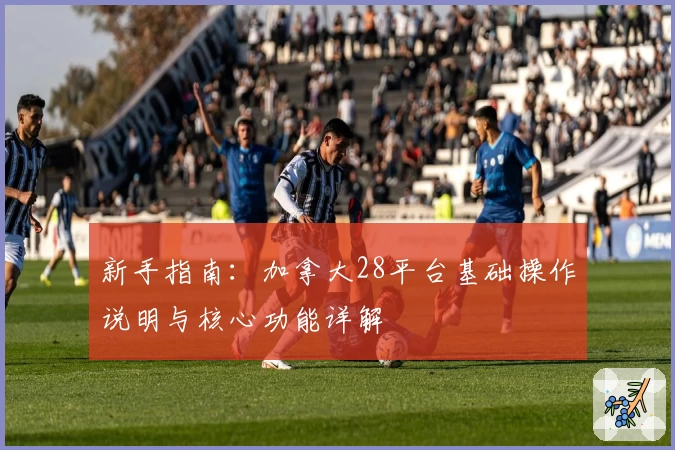新手指南：加拿大28平台基础操作说明与核心功能详解