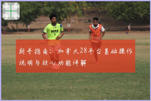 新手指南：加拿大28平台基础操作说明与核心功能详解