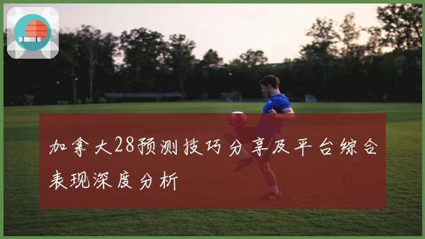 加拿大28预测技巧分享及平台综合表现深度分析