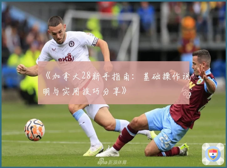 《加拿大28新手指南：基础操作说明与实用技巧分享》