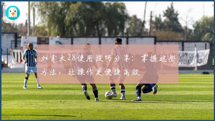 加拿大28使用技巧分享：掌握这些方法，让操作更便捷高效