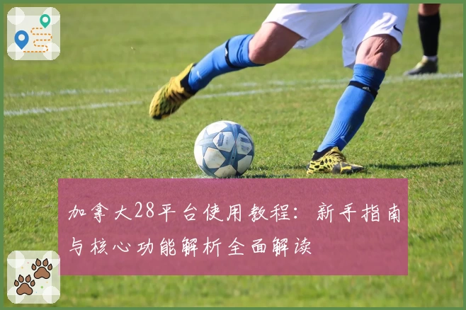 加拿大28平台使用教程：新手指南与核心功能解析全面解读