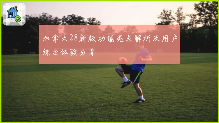 加拿大28新版功能亮点解析及用户综合体验分享